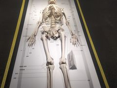 -李昌钰刑侦科学博物馆