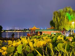 -济南大明湖景区