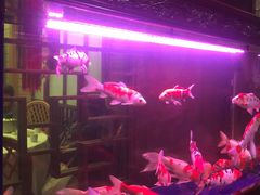-庐州太太(鼓楼店)