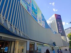-凯德MALL(望京店)