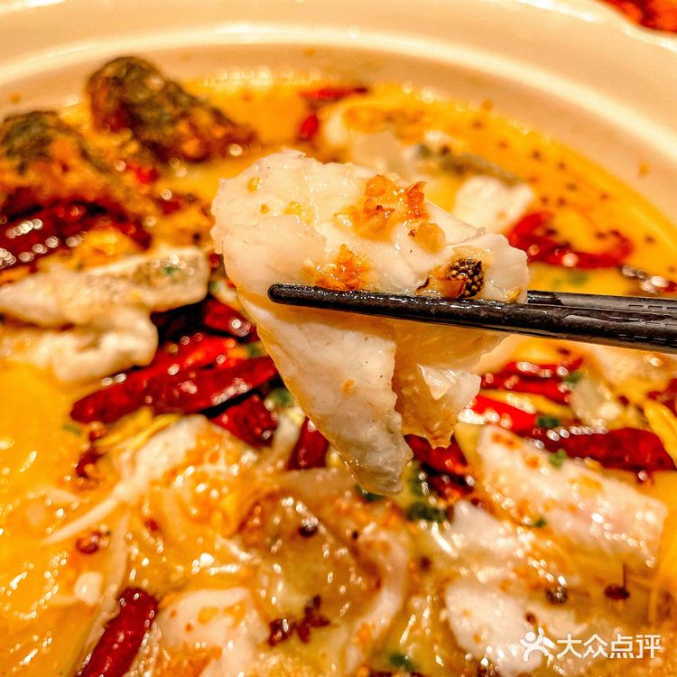 佛山探店|生腌生蚝🦪滑滑嫩嫩你试过未?
