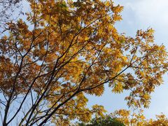 -杭州城北体育公园