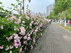 -南京眼步行桥