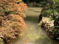-中国茶叶博物馆(双峰馆区)