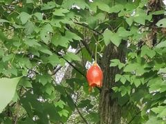 -荆州中山公园动物园