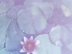 -昆山城市生态森林公园