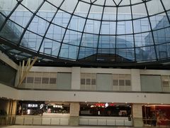 -野人先生现做冰淇淋(西安赛格店)