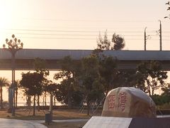 -宝安西湾红树林湿地公园