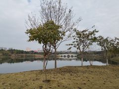 -眉山湿地公园(东坡区)