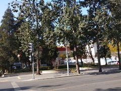 -中国石化朝阳日坛加油站