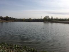 -东郊湿地公园