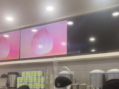 -雾与山茶(大禹城店)