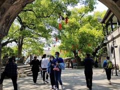 -溪口-滕头旅游景区