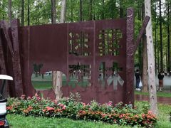 -黄海国家森林公园