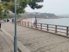-青岛海滨风景区