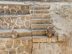 -石家庄市动物园