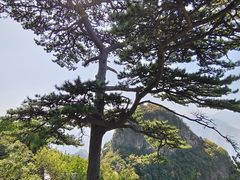 -圣莲山风景区