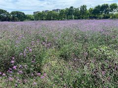 -北川羌城旅游区