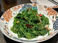 橄榄油拌丝瓜苗-芙蓉十九·新湘菜