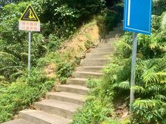-广州市帽峰山景区