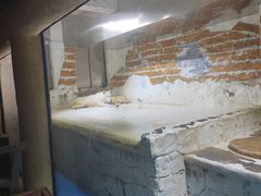 -大连圣亚海洋世界