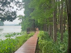 -东湖落雁景区