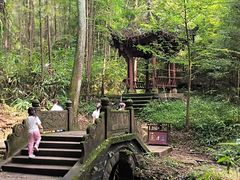 -凤栖山
