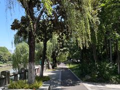 -运河游船(武林门码头)