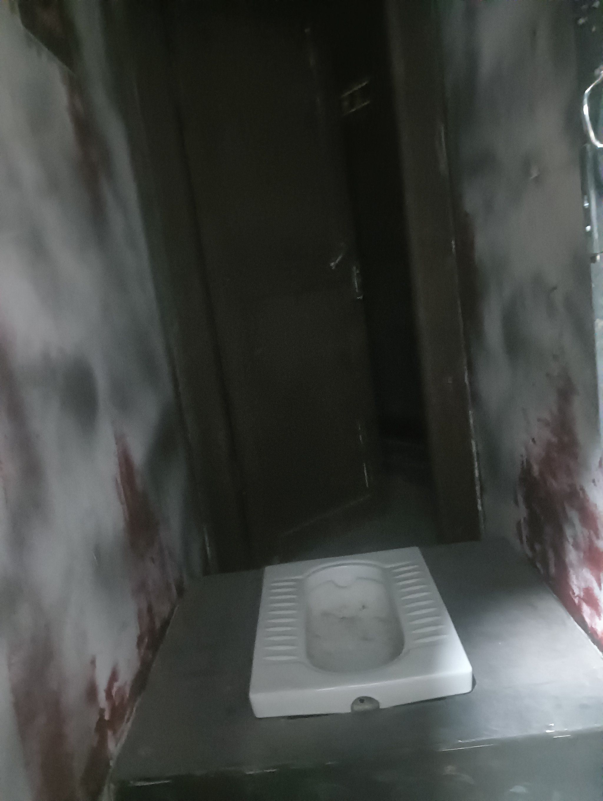 进入厕所后,灯光昏暗,空气中弥漫着一股腐臭的味道