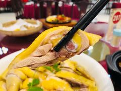 -云顶山庄·粤菜·农家菜(共和店)