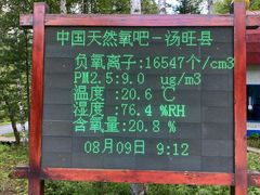 -汤旺河林海奇石景区
