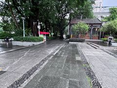 -荔湾湖公园