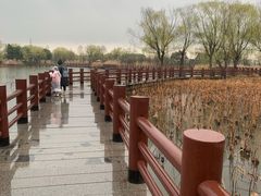 -长兴太湖图影湿地文化园