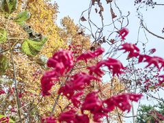 -国家植物园南园