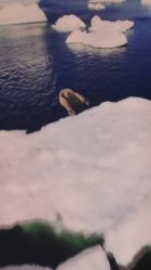 -翱翔飞越地平线