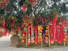 -十万大山布透温泉