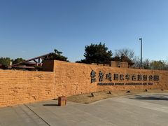 -盘龙城国家考古遗址公园