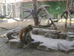 -深圳野生动物园