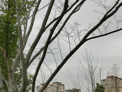 -昆山城市生态森林公园