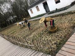 -溱湖国家湿地公园