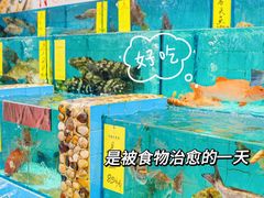 -有腥气私房菜·寻味顺德