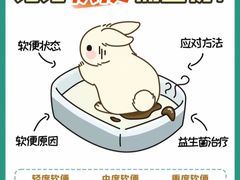 -守诺宠物医院·眼科· 特色牙科·异宠专科(虹口店)