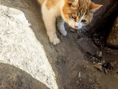 -终南山南五台景区