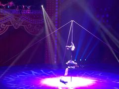 -珠海横琴长隆《卡卡虎奇遇记》