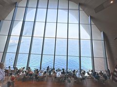 -贝林大翅鲸简餐厅(国家海洋博物馆店)