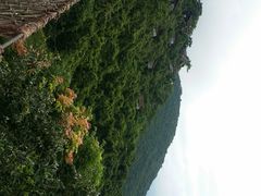 android_upload_pic-三亚亚龙湾人间天堂鸟巢度假村