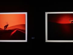 -罗红摄影艺术馆