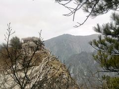 -牛背梁国家森林公园