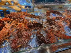 -喜宴又一村·粤菜·茶点·海鲜(壹方天地店)