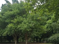 -金山公园